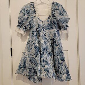 Selkie The Louie Toile Parliament Dress Size S